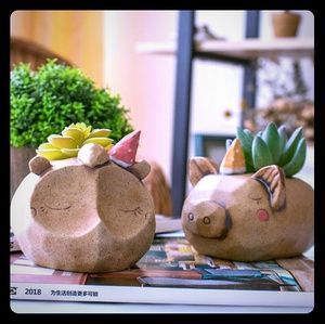 Hand Made Cute Animal Pig and Hedgehog Design